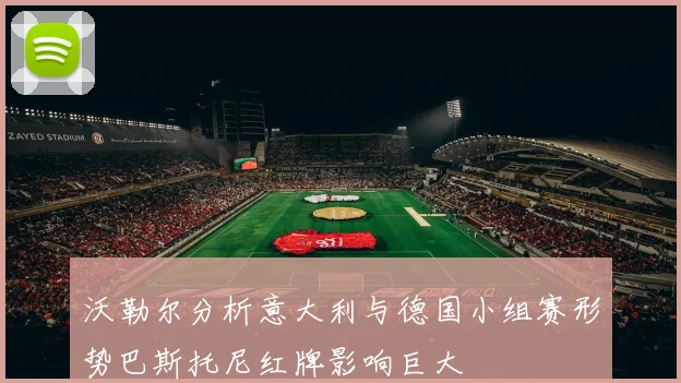 沃勒尔分析意大利与德国小组赛形势巴斯托尼红牌影响巨大