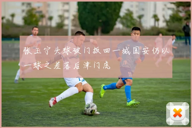 张玉宁头球破门扳回一城国安仍以一球之差落后津门虎